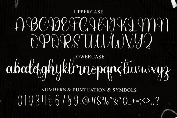 Alignment Business Font - Preview 2
