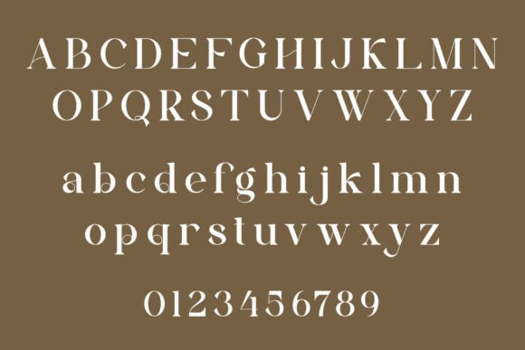Rilvan Font font preview - 5