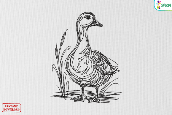 Vintage Duck Sketch Artwork
