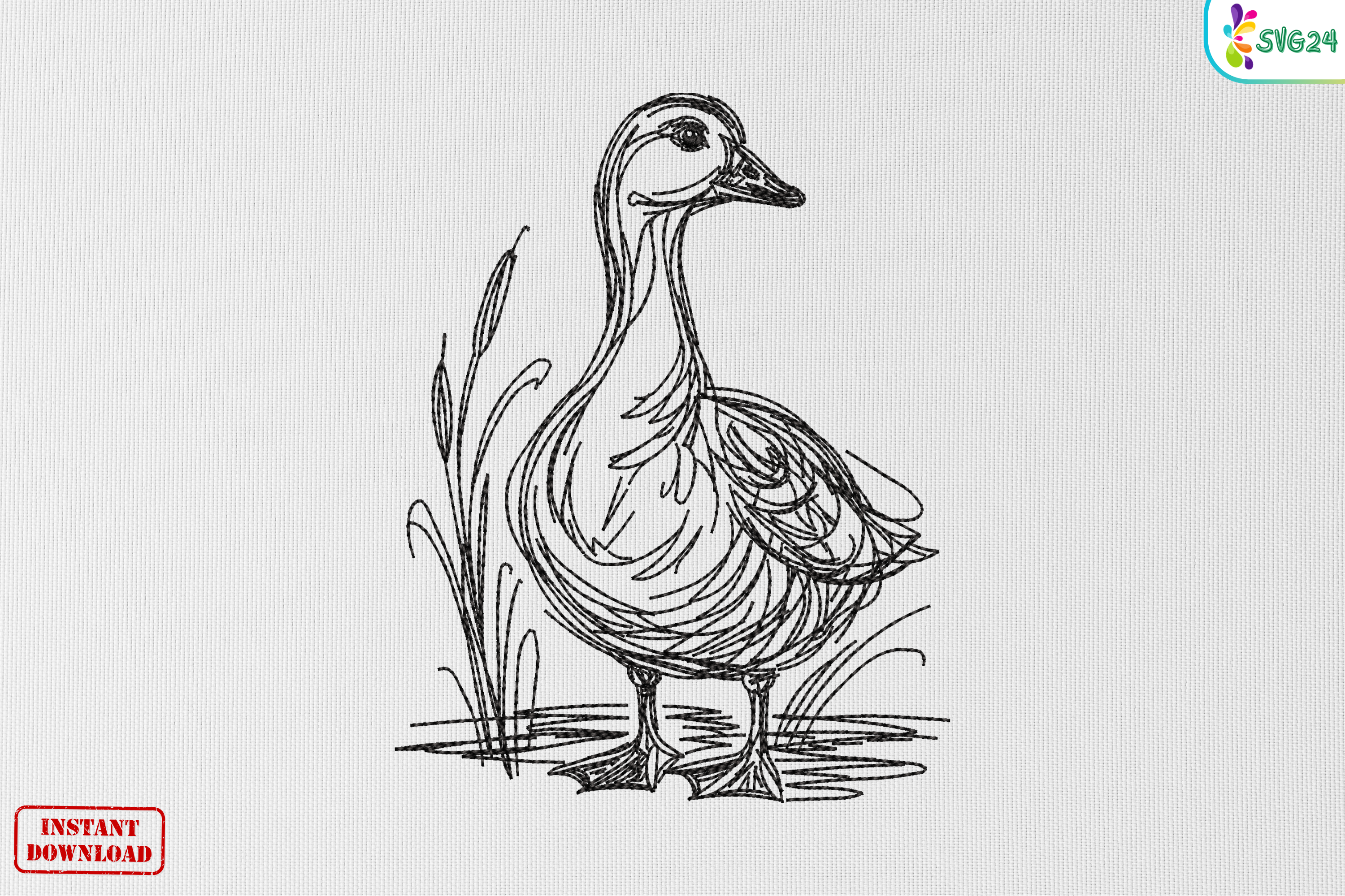 Vintage Duck Sketch Artwork