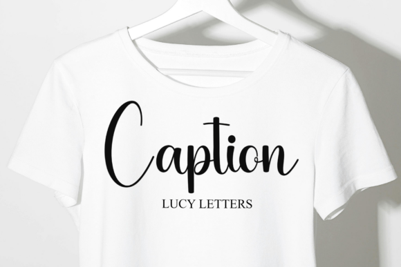 Beauty Autography Font - Preview 1