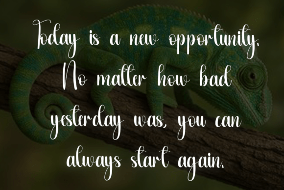 Cameleon Font - Preview 4