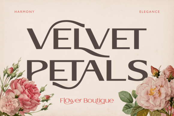 Cantilos Font - Preview 4