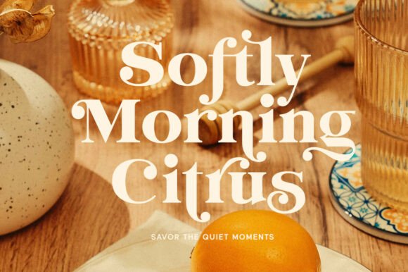 Evorine Serif Font PNG with transparent background - Preview 3