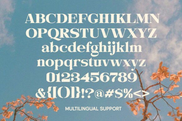 Evorine Serif Font PNG with transparent background - Preview 4