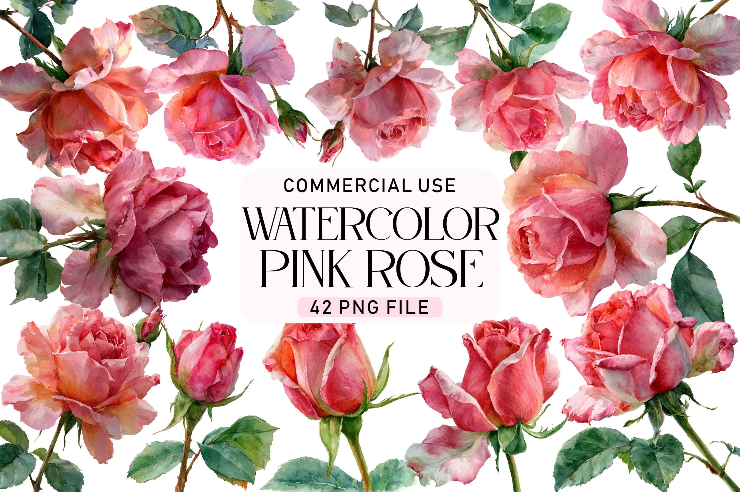 Watercolor Pink Rose Clipart Graphic by Daily.Designs · Creative Fabrica