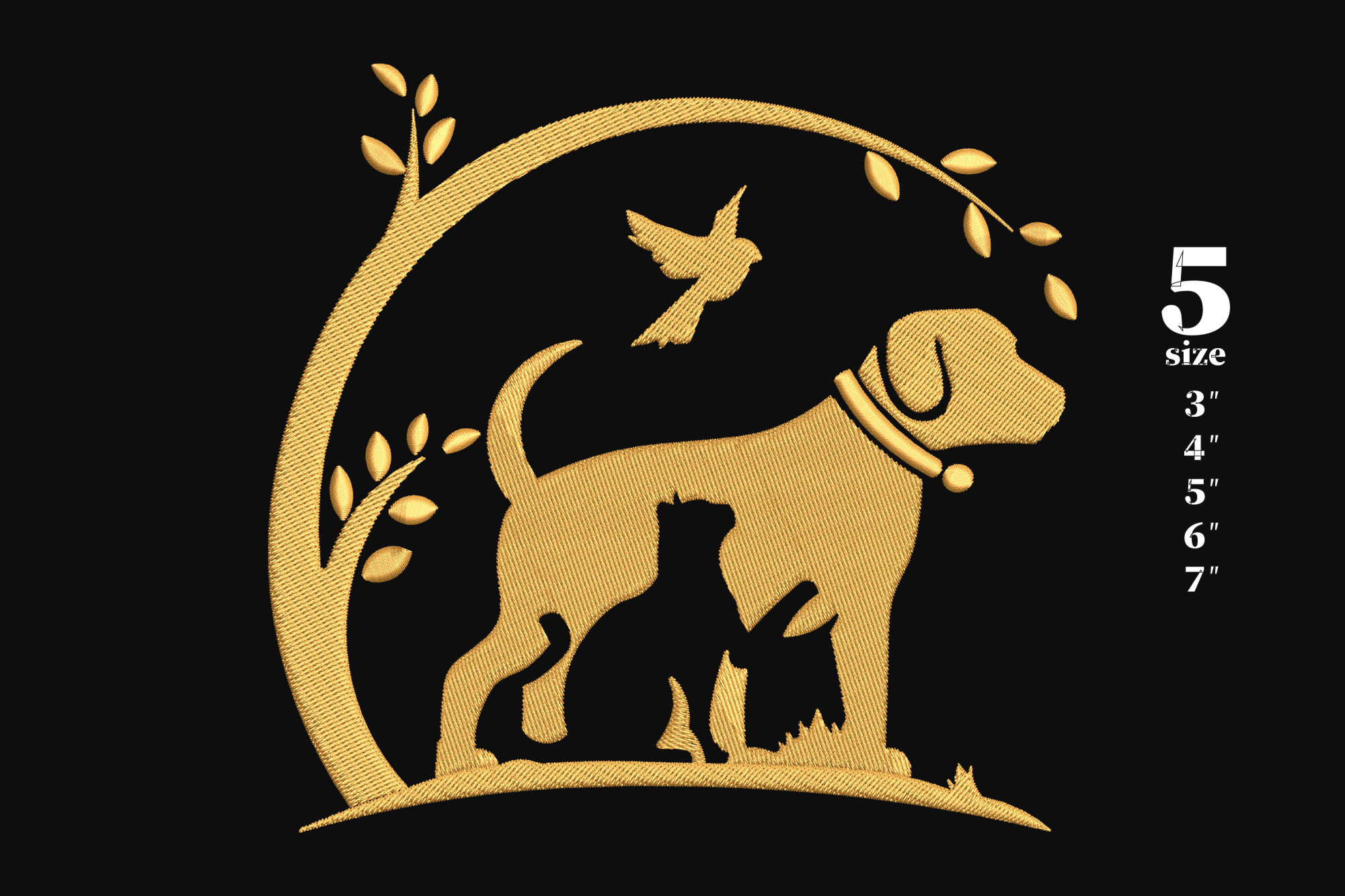 Dog and Cat