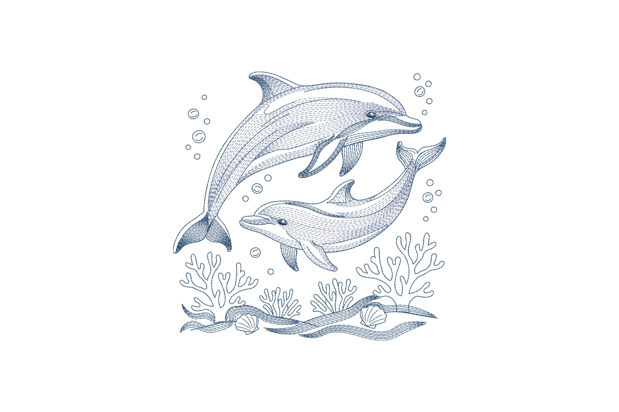 Dolphins Swimming