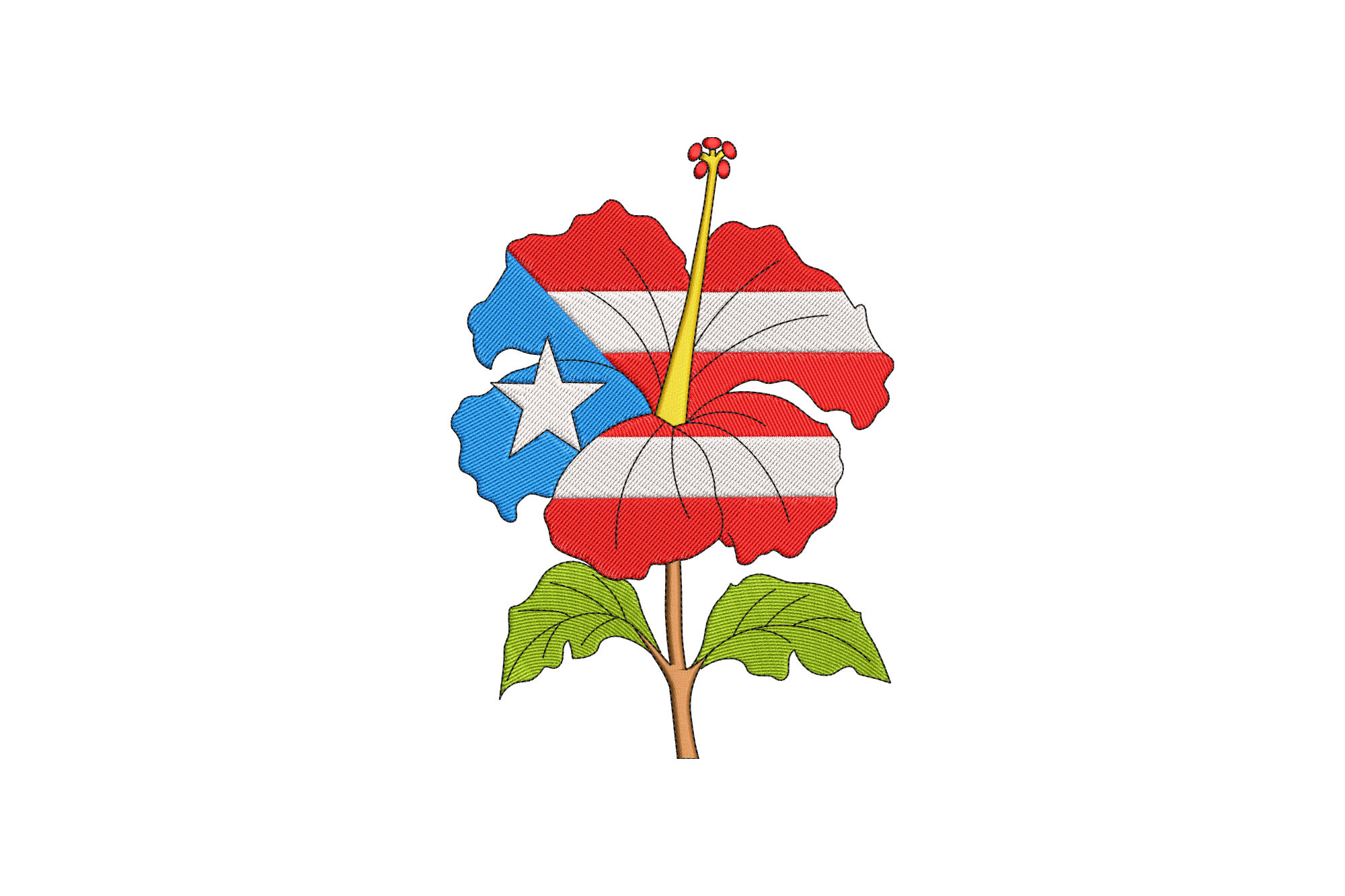 Puerto Rico Hibiscus Flower
