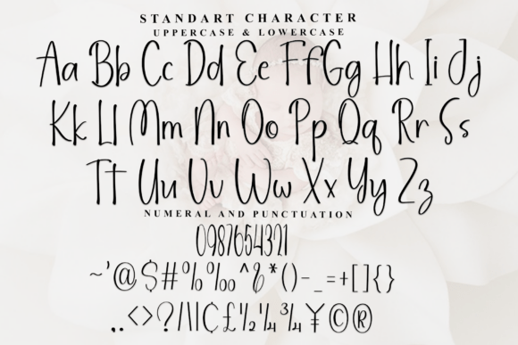 Beautiful Handwritten Font PNG with transparent background - Preview 5
