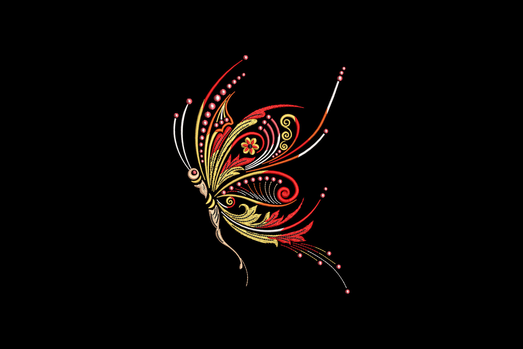 Colorful Butterfly