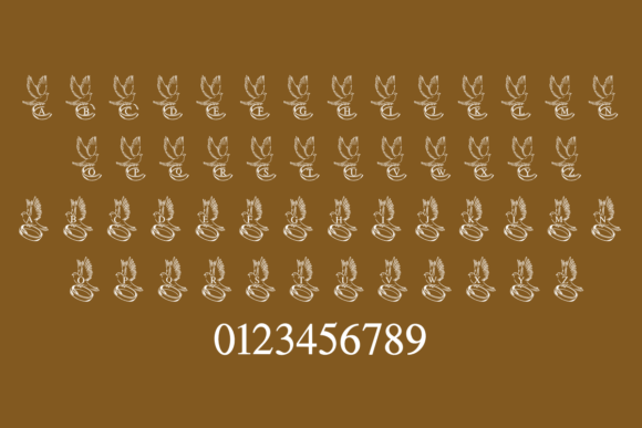 Dove Wedding Monogram Font - Preview 1