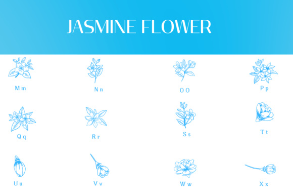 Jasmine Flower Font PNG with transparent background - Preview 2