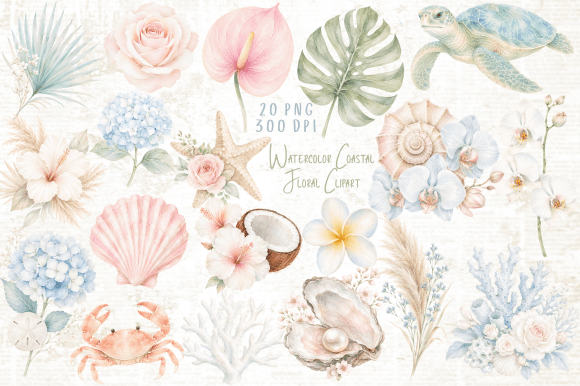 Watercolor Coastal Floral Clipart PNG Graphic Illustrations By Yassou Bouhad