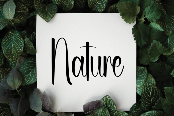 Augusta Font - Preview 3