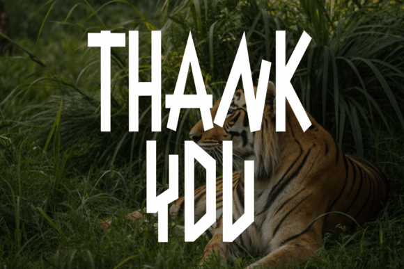 Danger Tiger Font - Preview 4