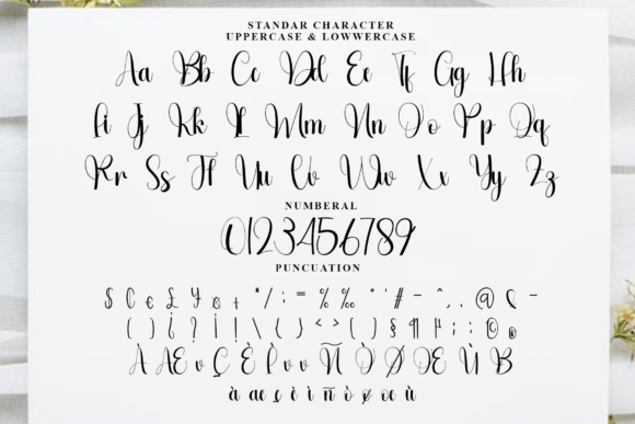 Hunting Ringlighty Font - Preview 4