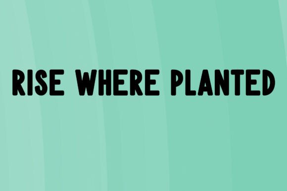 Kylie Font PNG with transparent background - Preview 3
