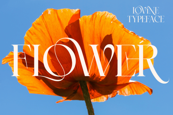 Lovine Font PNG with transparent background - Preview 5