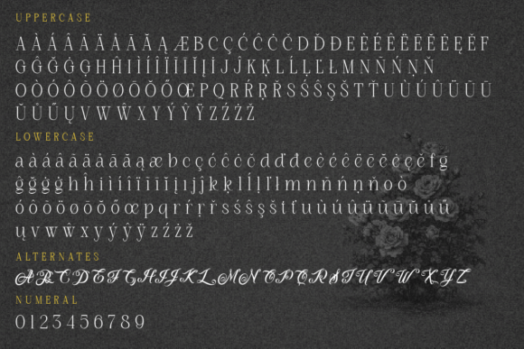 Roman Nemure Font PNG with transparent background - Preview 4