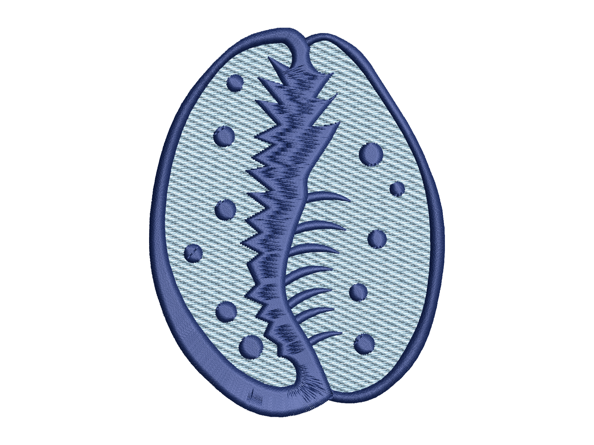 Seashell Fossil Design