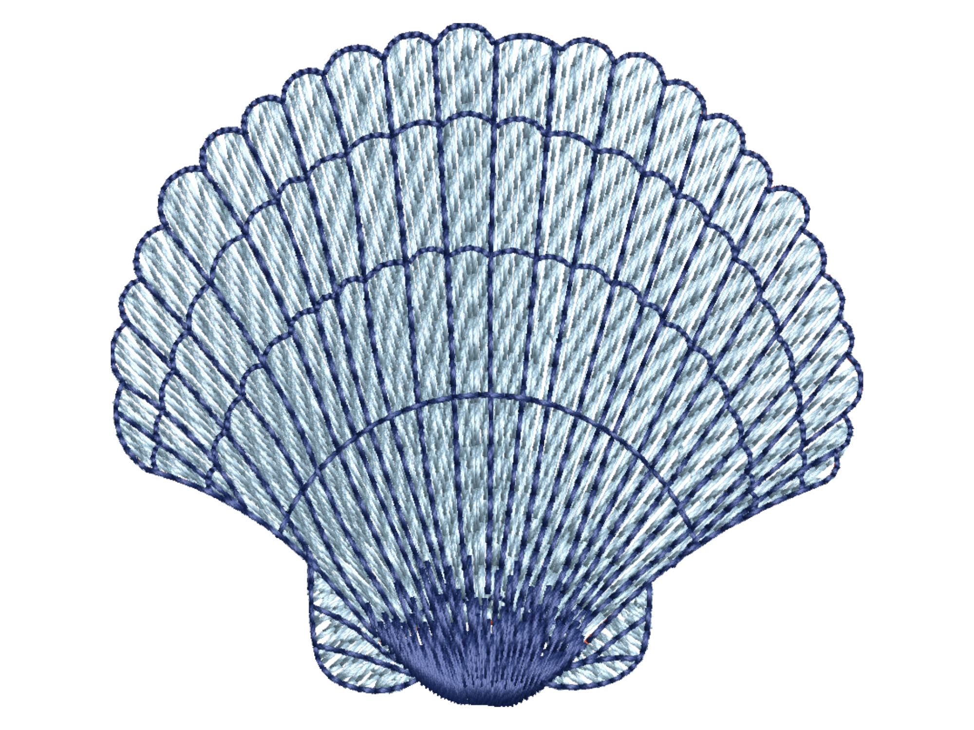Striped Seashell Design