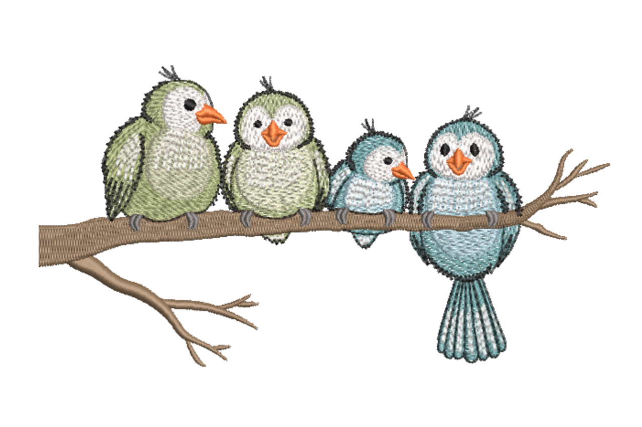 Bird Family on Branch