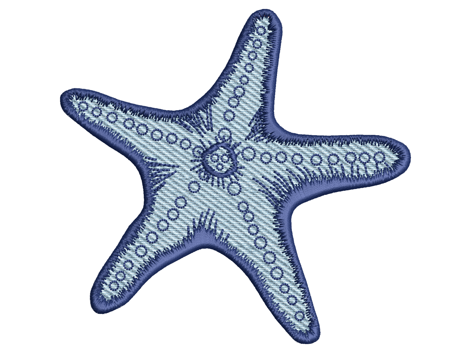 Blue Sea Star Design