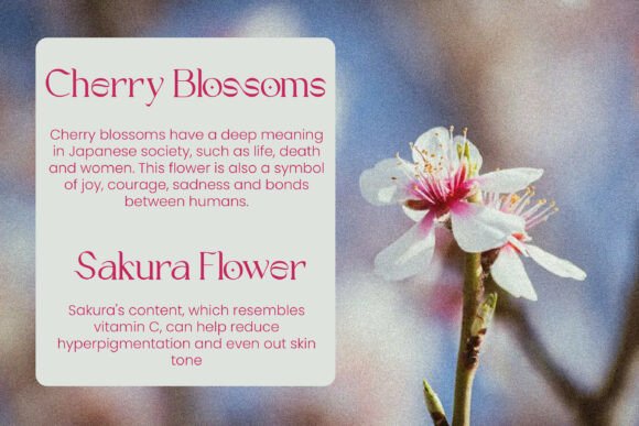 Cheliny Font - Preview 2