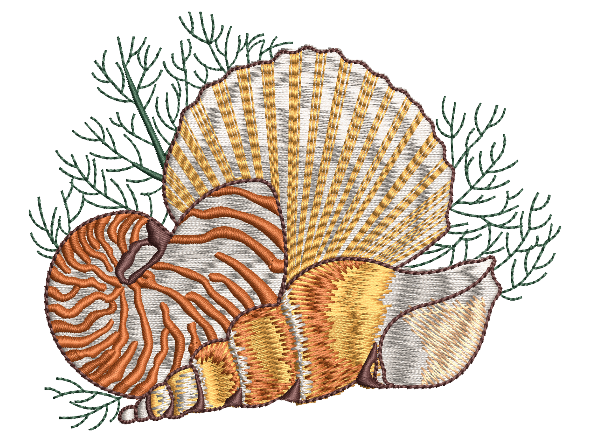 Coastal Seashell Design