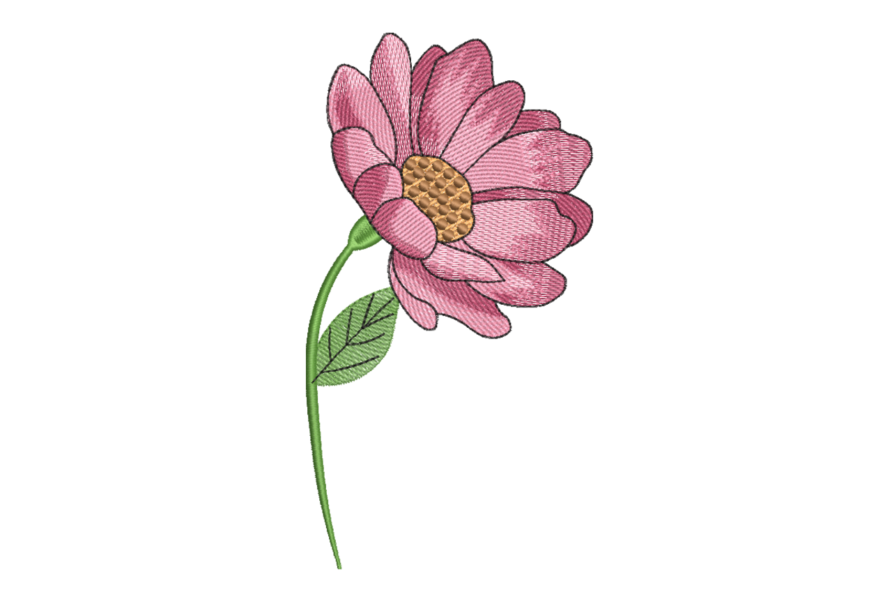 Pink Daisy Flower