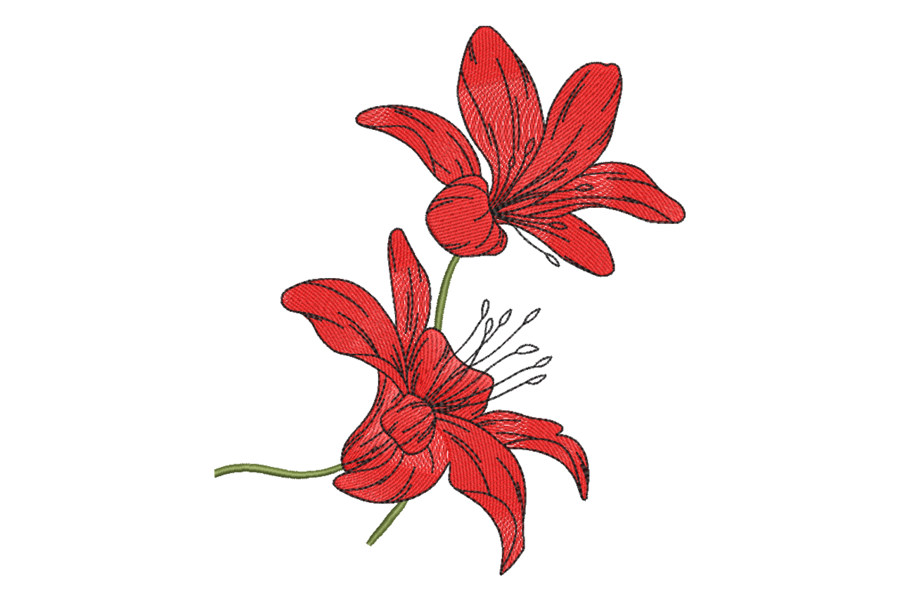 Red Lily Flowers