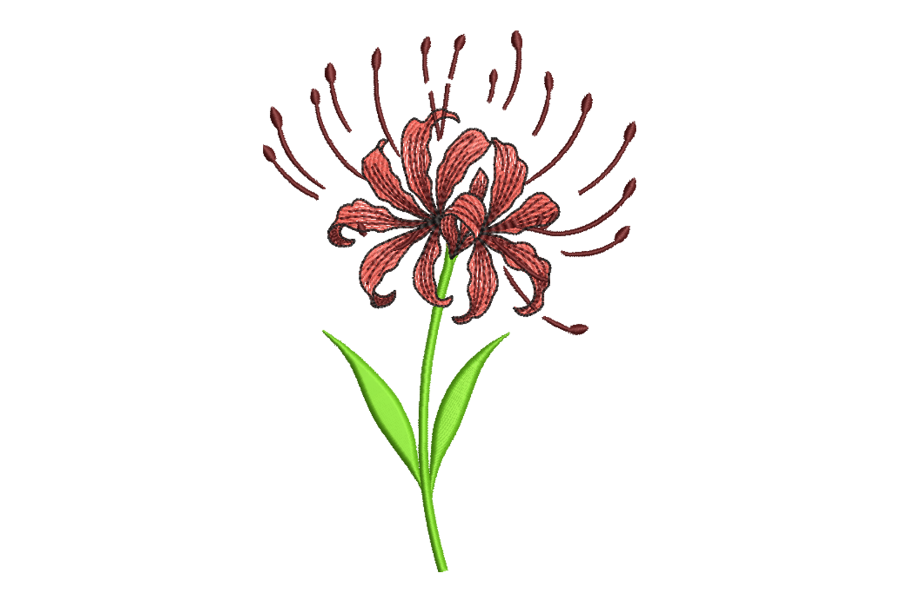 Red Spider Lily