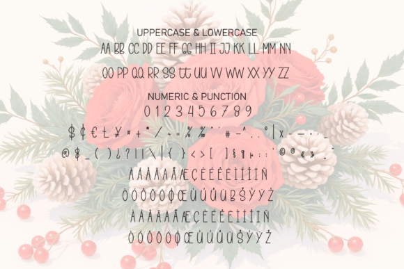 Santa Bouquet Font PNG with transparent background - Preview 6