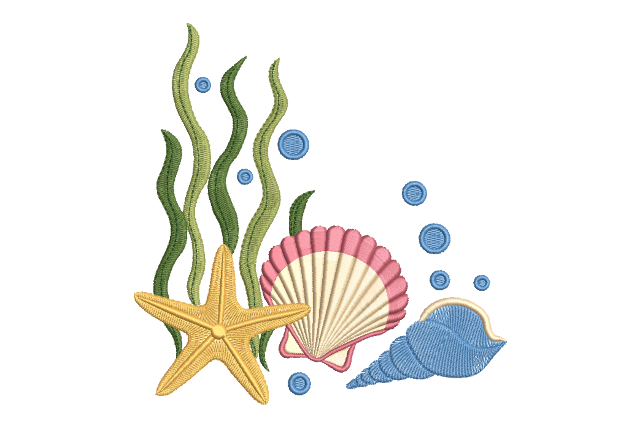 Seashell & Starfish