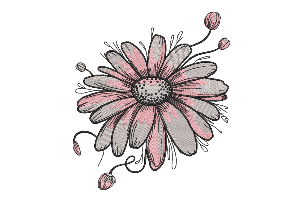 Sketch Daisy Blossom