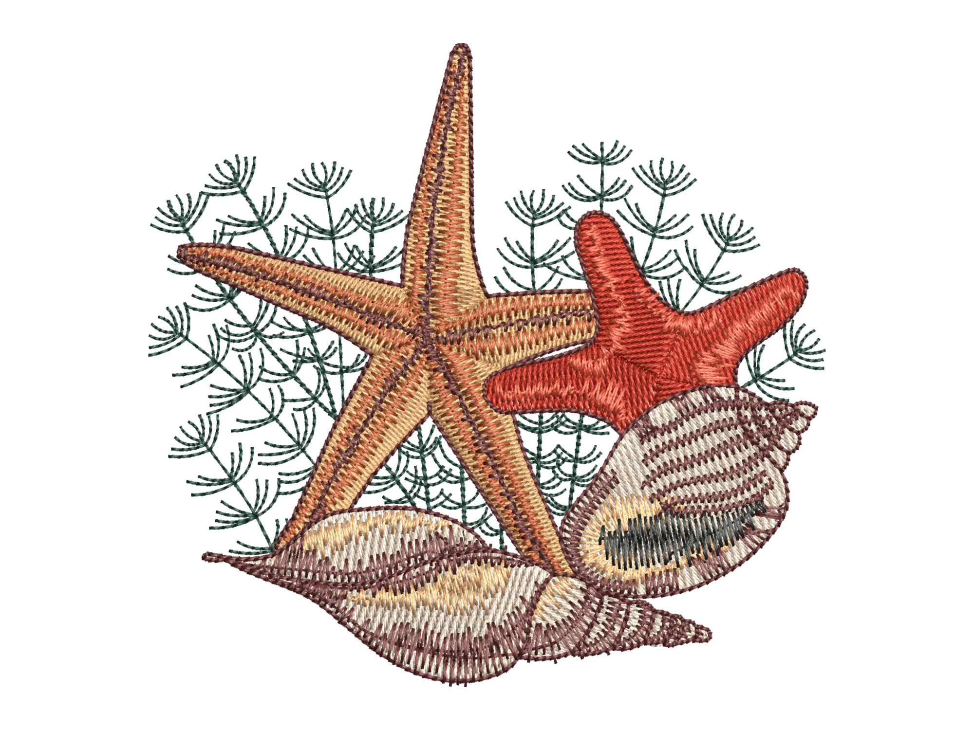 Starfish Seashell Design