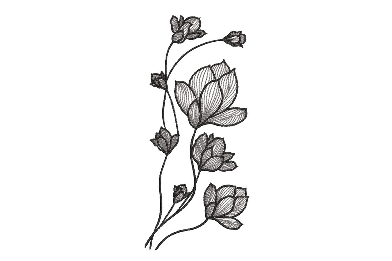 Tall Sketch Magnolia