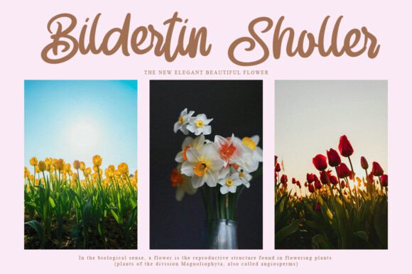 Bophia Stylish Font - Preview 4