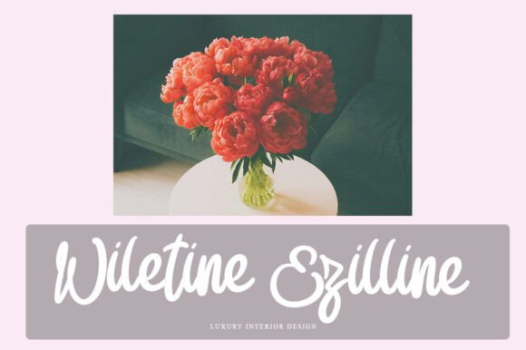 Bophia Stylish Font - Preview 6