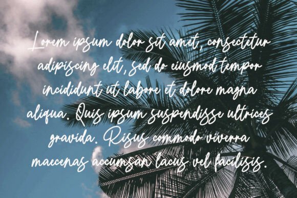 Messy Platters Font PNG with transparent background - Preview 6