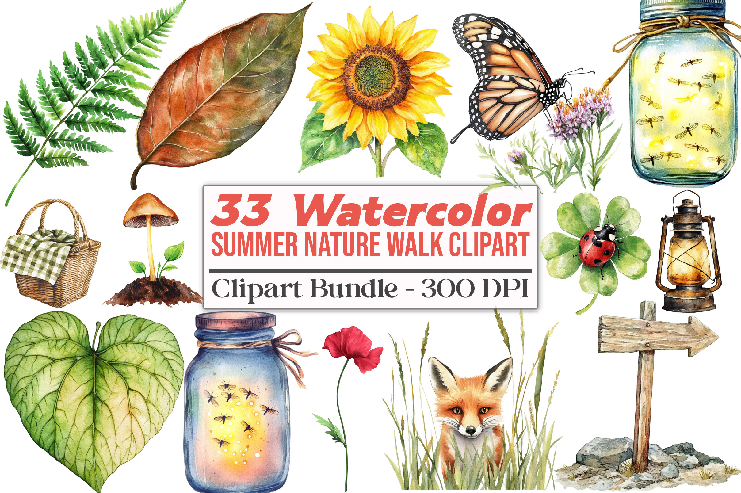 Summer Nature Walk Clipart Graphic by Strawberry Art · Creative Fabrica