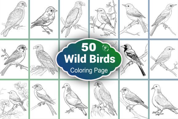 Wild Bird Coloring Page Graphic Coloring Pages & Books Adults By Forhadx5