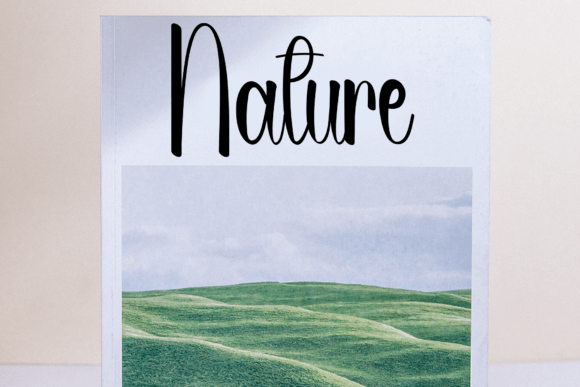 Alacrity Font - Preview 2