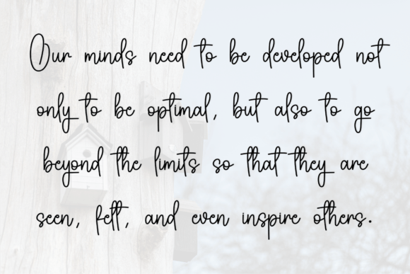Birdhouse Font - Preview 4