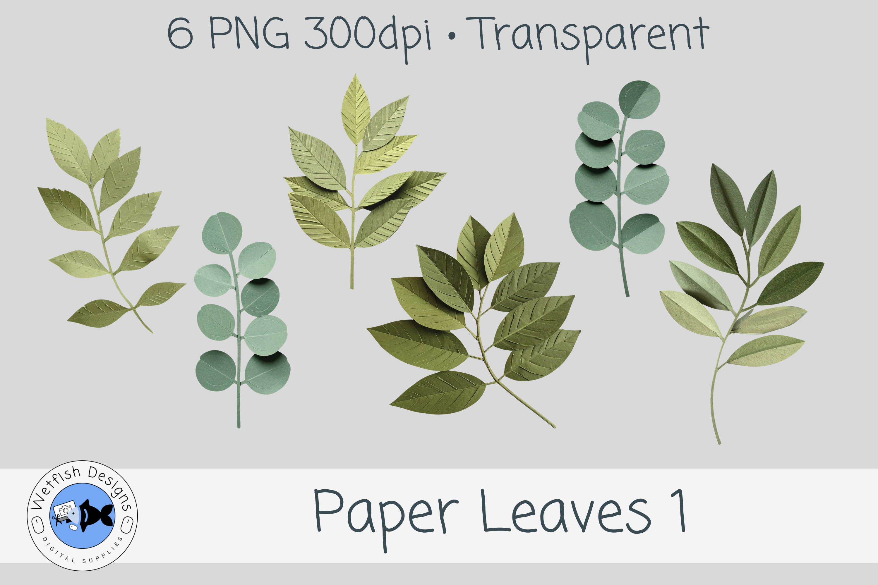 Paper PNG Leaves 1