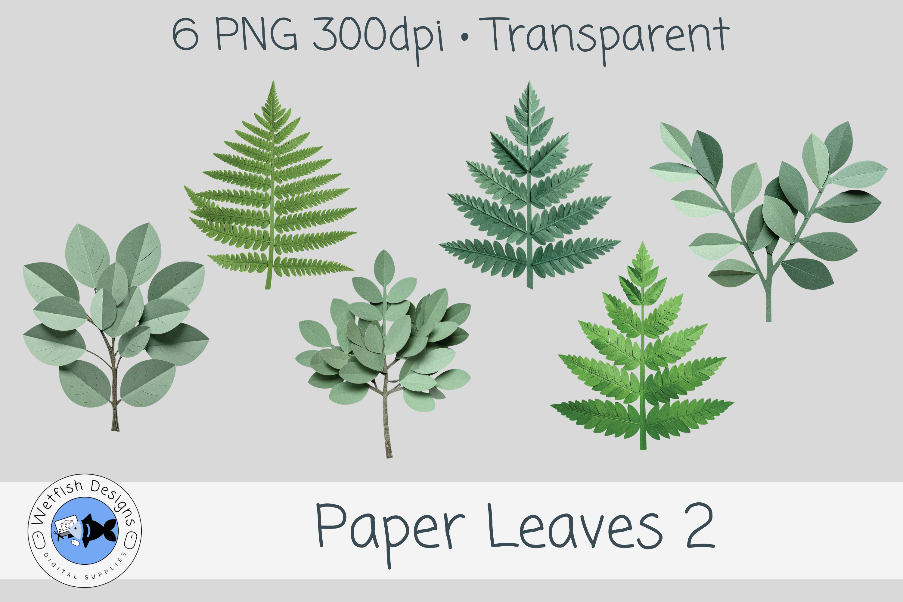 Paper PNG Leaves 2
