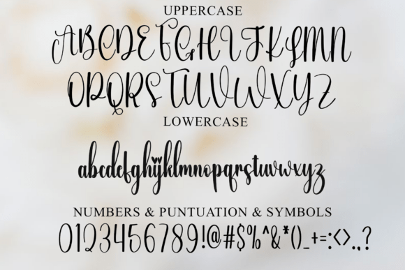 Bridgerton Font - Preview 6