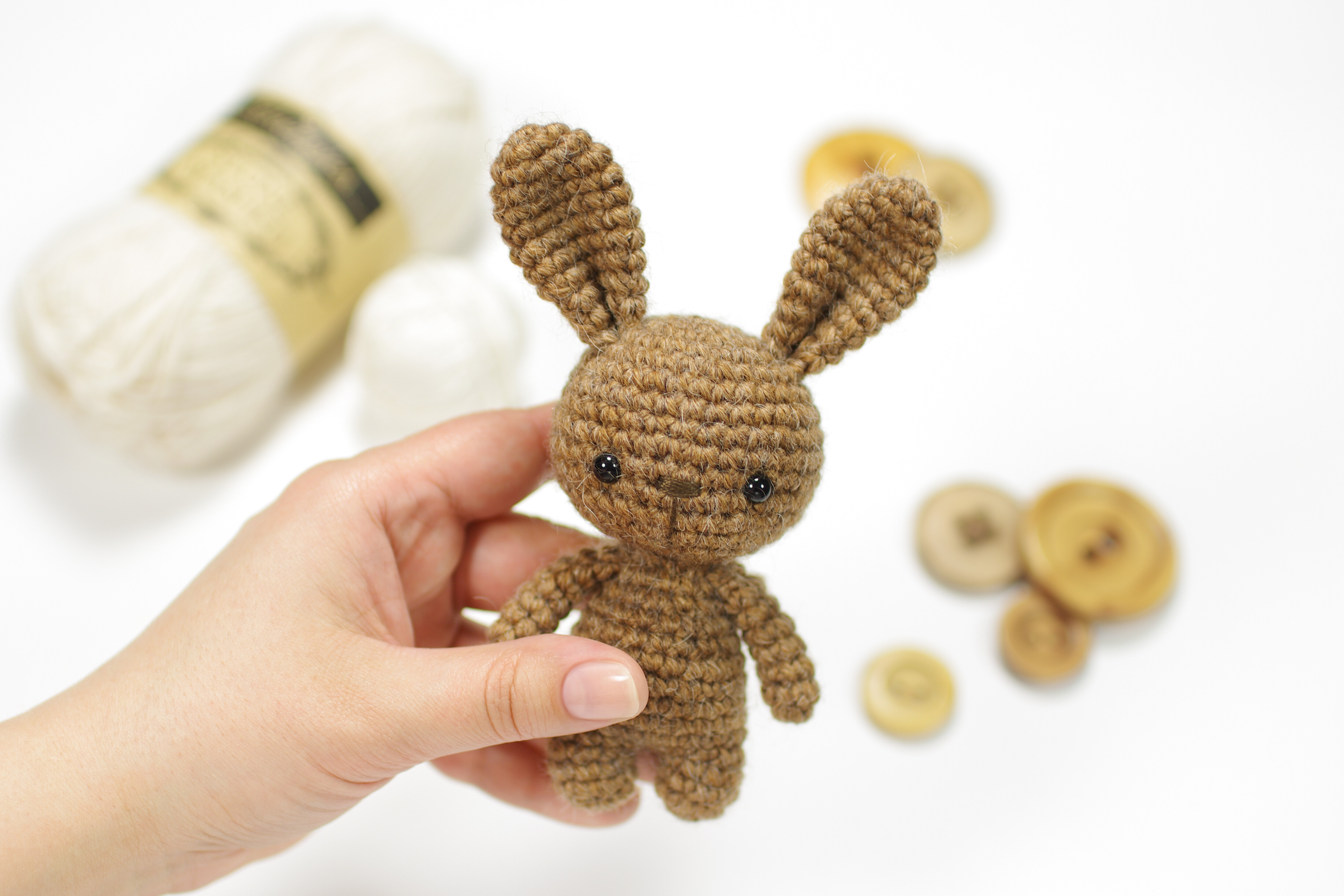 Small Bunny Rabbit