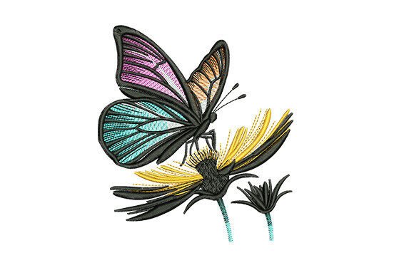 Colorful Butterfly and Floral